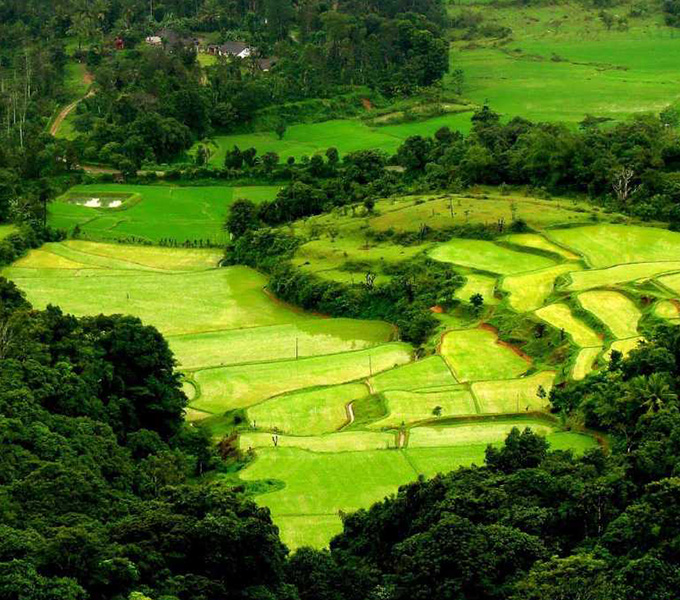 COORG india